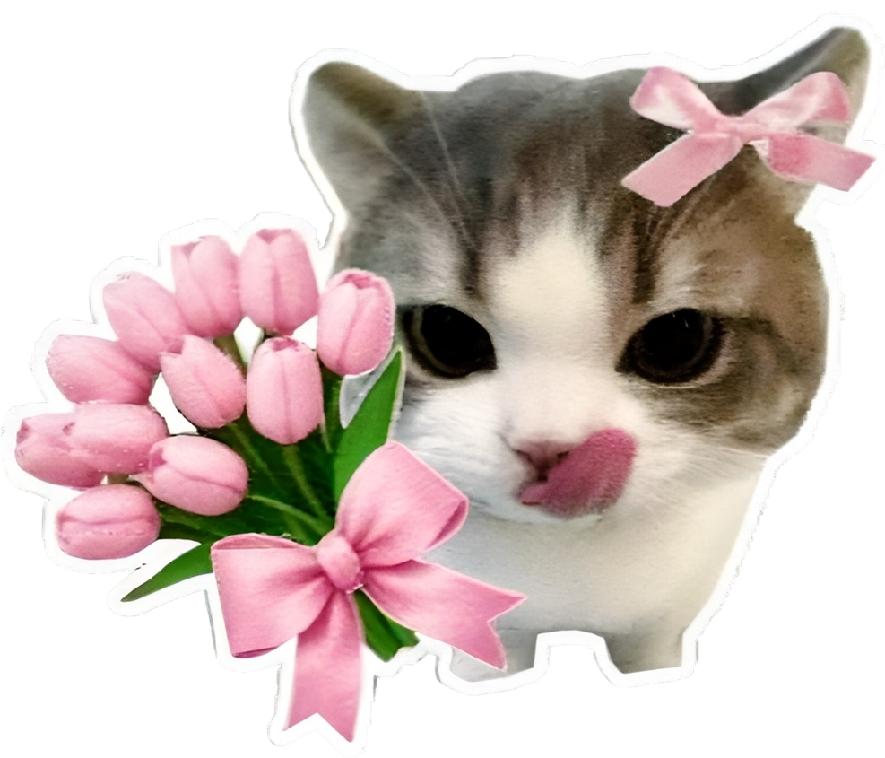 Кошечка-3